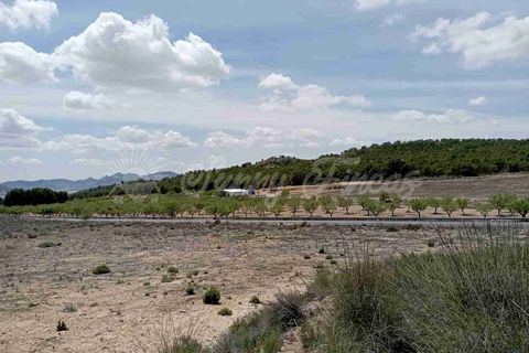 Helårsgrund i Yecla, Murcia, Yecla - € 25.000 | Ref: SF0457 - foto 7